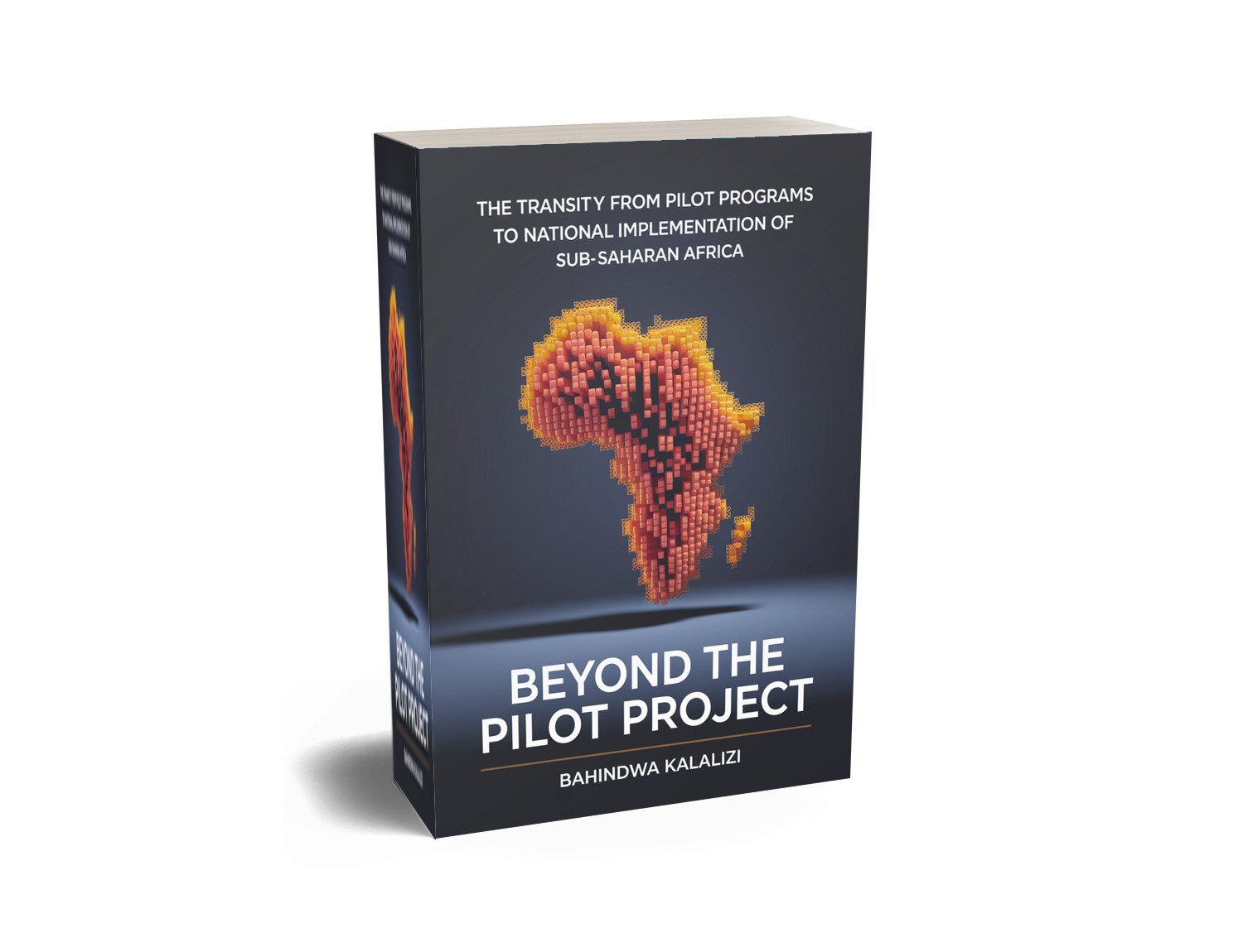 The Transity from Pilot Programs to national Implementation of Sub-Sahara Africa - Image 2