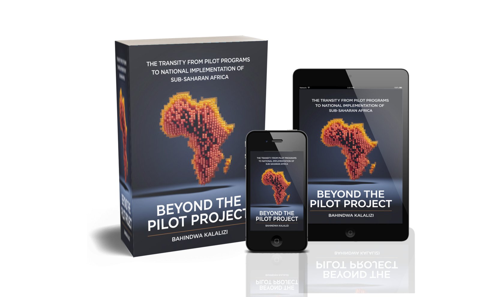 The Transity from Pilot Programs to national Implementation of Sub-Sahara Africa